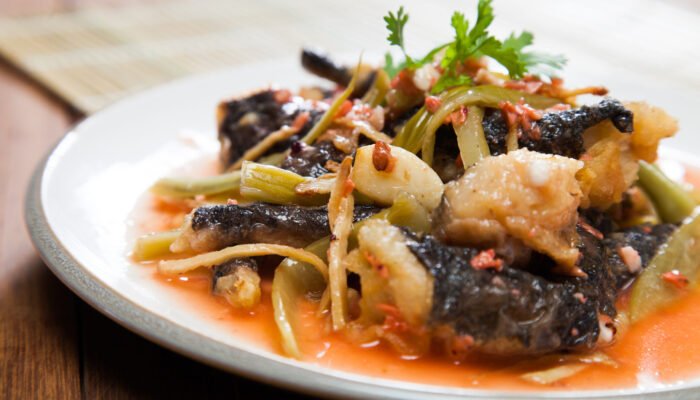 kodok batu ca atau saklon ca