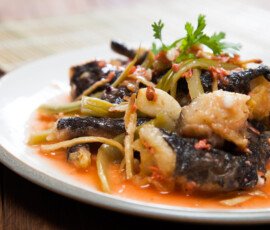 kodok batu ca atau saklon ca